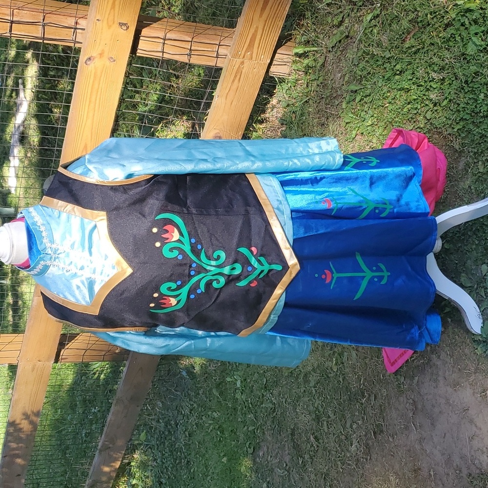 Halloween Anna Costume